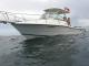 P7270049_edited-1.jpg