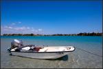 IMG_8380.jpg