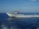 SF2860-2-THT.JPG