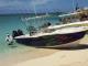 BLUELIGHT BIMINI.jpg